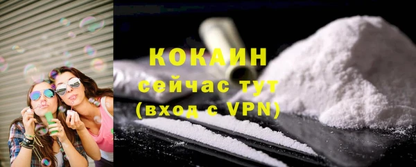 гашик Аркадак