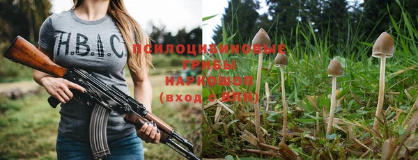 гашик Аркадак