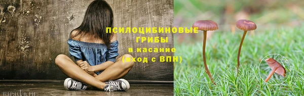 гидра Арсеньев