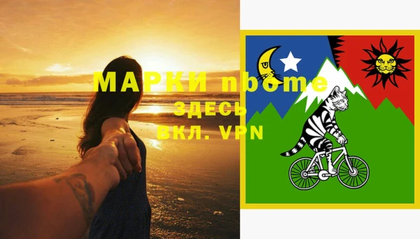 гашик Аркадак