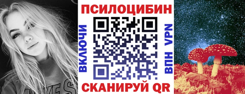 купить наркотик  OMG сайт  Псилоцибиновые грибы ЛСД  Лесной 